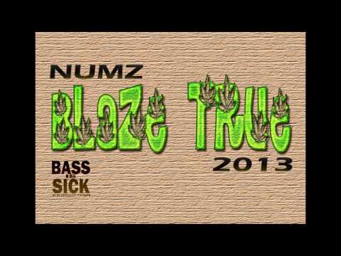 NUMZ - Blaze True 2013