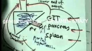 general pathology 25: bilahrziasis2  DR SAMEH GHAZY