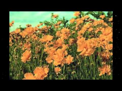 (FREE) AARON MAY X ISAIAH RASHAD TYPE BEAT - "CHANGES" | CHILL RAP TYPE BEAT