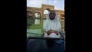 صورة تاريخ الانصار (( 4 ))