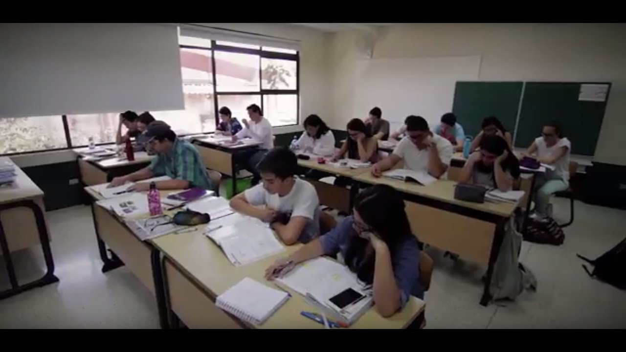 ¿por qué los ticos e