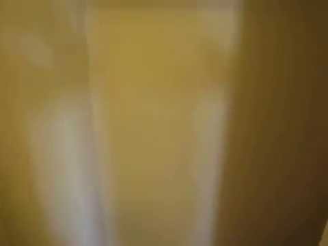 PL5018 - Spacious 1 Bed + 1 Bath Apartment For Rent (Los Angeles, CA).