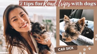 puppy first road trip and tips to survive road trip with dogs | no car sickness | The R&D Couple