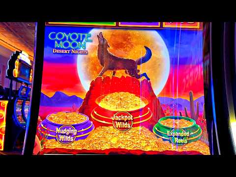 NEW COYOTE MOON & WOLF RUN!!!!!!!!!!!!!!!!
