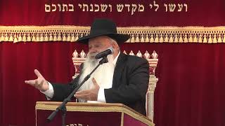 עד מדינה | קצרים | הרב דניאל זר