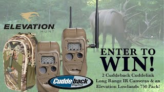 Kinsey's Outdoors - 2021 Trail Cam Photo Contest