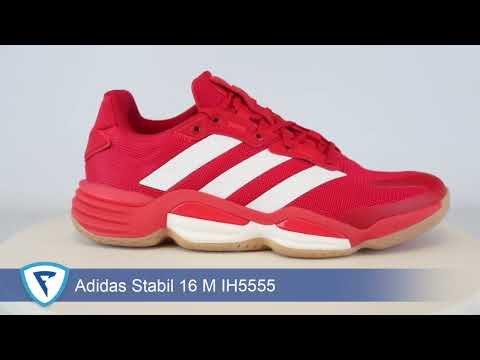 thumbnail_6Zd_svfhydI