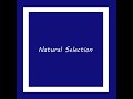 Natural Selection - Nothing To Lose