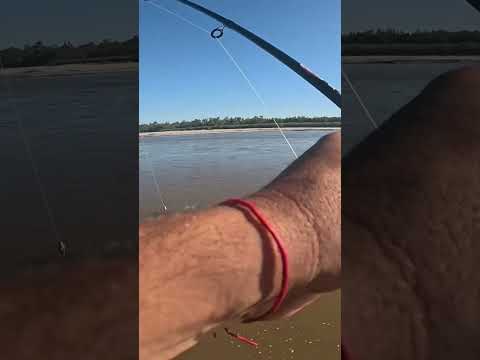 Este lugar CAMBIO TOTALMENTE!! LOS GOMEZ PESCA Y COCINA #pesca #fishing #fish #tucuman #argentina