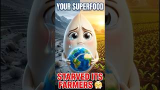 Download lagu 'I'm Quinoa & I Made Bolivian Farmers Starve By Becoming Famous 🌿😔' mp3 Download lagu 'I'm Quinoa & I Made Bolivian Farmers Starve By Becoming Famous 🌿😔' mp3