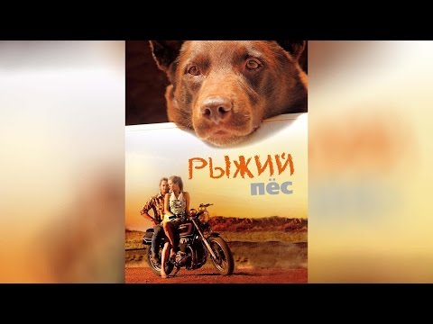 Трейлеры Рыжий пёс