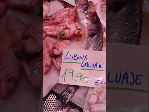 10 de septiembre de 2025