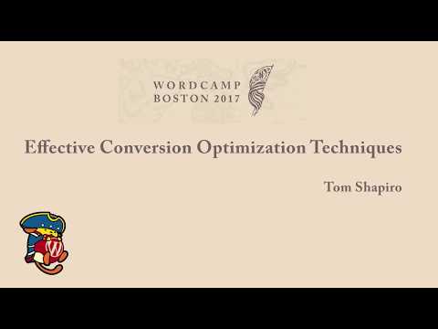 Effective Conversion Optimization Techniques