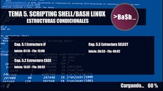 🟦 Scripting Bash / Shell . Estructuras Condicionales. Tema 5 ( Básico )