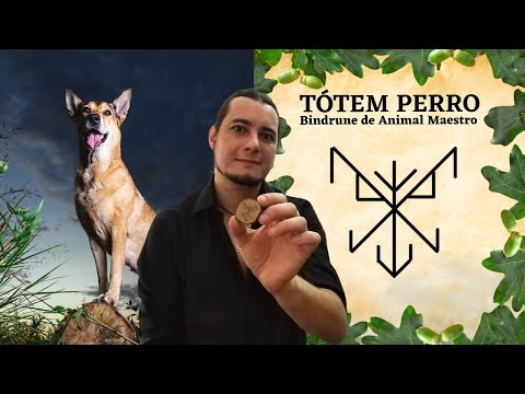 PERRO TÓTEM 🐕 Animal  ESPIRITUAL PERRO significado 🗿 PERRO ANIMAL DE PODER y AMULETO🧙