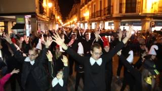 IV Flashmob ACADI en la Calle Mayor de Alcalá de Henares