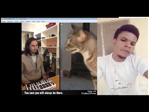 The Kiffness X Sneeze Cat X Daniel R - Blinding Sneeze