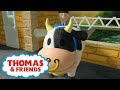 Thomas Friends Baa Season 5 UK