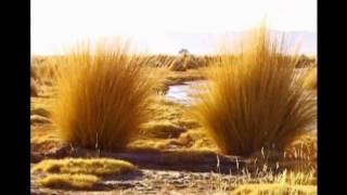 En La Altura Lyrics English Translation