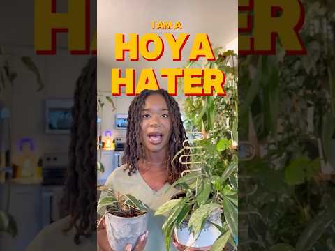 I HATE Hoyas…so I ordered some more to see if they could change my mind 🤍🪴😂 #plantmom #hoya