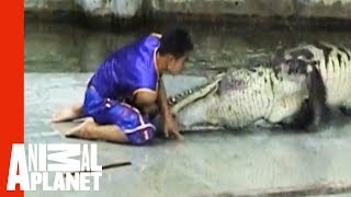 Man Caught In Crocodile Death Roll | Untamed &amp; Uncut