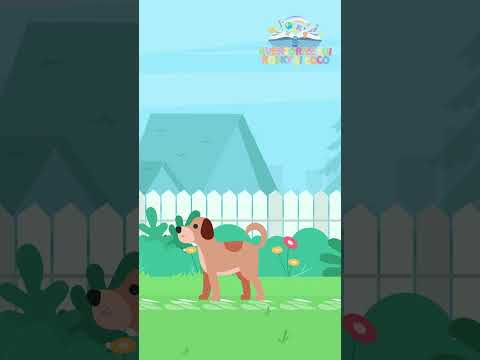 Rosky si Coco - There was a farmer, had a dog 🐶 #bingo #nurseryrhymes #roskysicoco #supersimplesongs