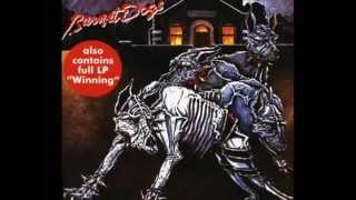 ▶ RUSS BALLARD   On The Rebound Rockklassiker   YouTube 360p