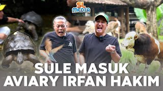 Download lagu HAPPY NYA IRFAN HAKIM KETIKA SULE MASUK AVIARY mp3 Download lagu HAPPY NYA IRFAN HAKIM KETIKA SULE MASUK AVIARY mp3
