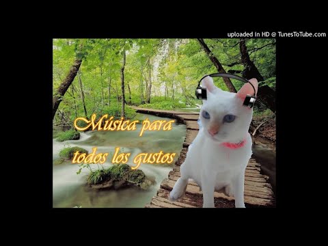 Me dedique a perderte Los Barraza ft Carlo Supo salsa