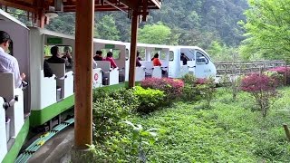 preview picture of video 'Zhangjiajie National Park Monorail China 湖南张家界国家森林公园'