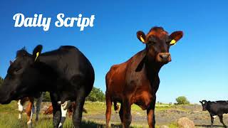 The Wonders of Beautiful Nature