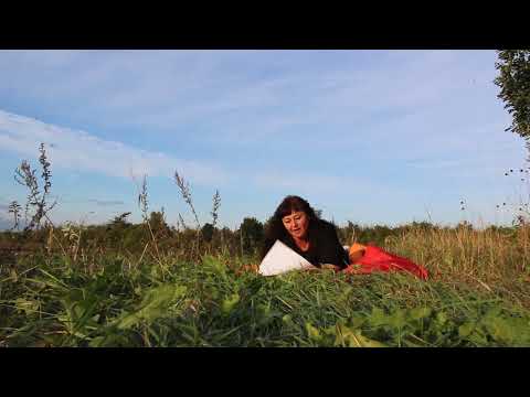 ÜLLE LUULENURK / TORE TEISIPÄEV  / NETITROLLI LAULUKE / Kuldne Trio- Hullaa tralla