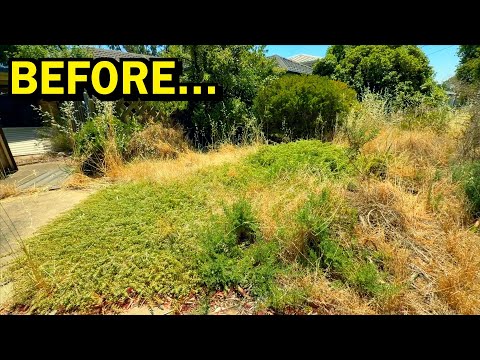 I Felt It Straight Away – Something About This Abandoned Home Didn’t Sit Right