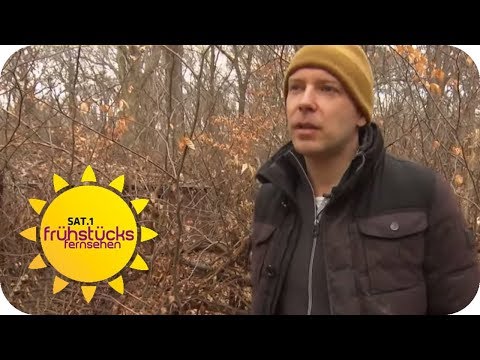 Verstecktes Wohnen im Wald: Hartz-IV-Empfänger baut sich Hütte im Wald | SAT.1 Frühstücksfernsehen