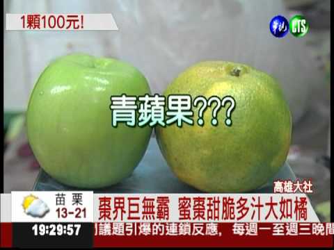 百元珍寶棗大如橘 皮薄肉質細