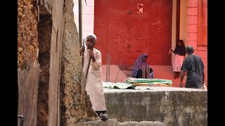 Zanzibar - Stone town papasi