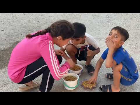 Şivan Temo...Danûk 