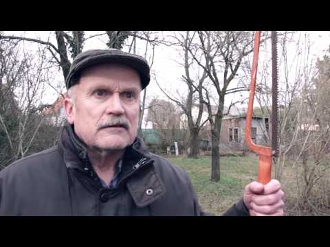 DER KLANG DER STILLE OFFICIAL TRAILER