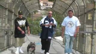 Lil Squirrel- Cali Life *NEW 2010 MUSIC VIDEO*