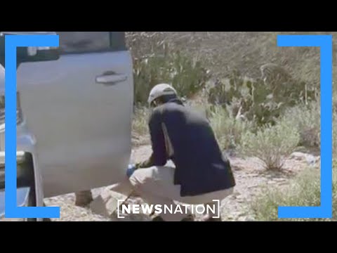 Turf war concerns emerge in Nancy Guthrie case | Morning in America