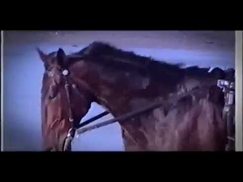 Jag de Bellouet Sur La Plage