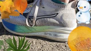 Zen Talks: How the 4 Seasons Effect Your Running