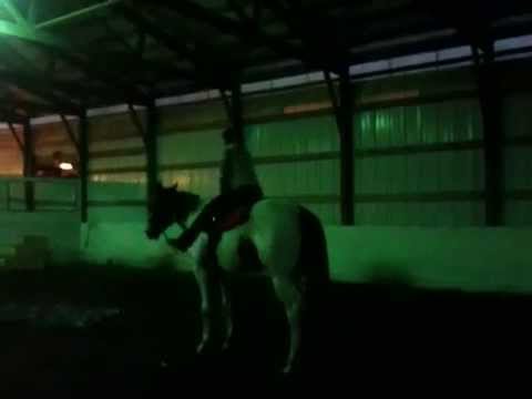 A Royal Hit Man - Demonstrating patience