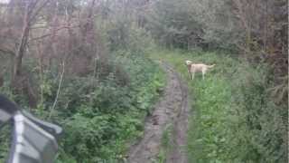 preview picture of video 'Childrey - Legcombe Regis to B4507 (Byway, S-N)'