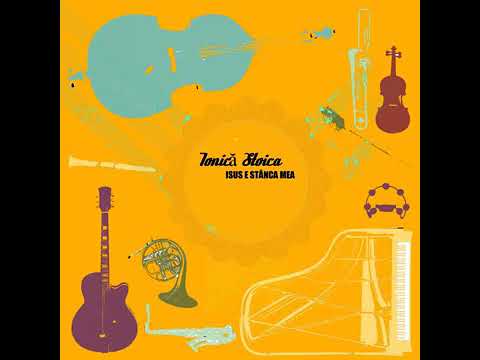 N-am venit pe lume - Ionica Stoica