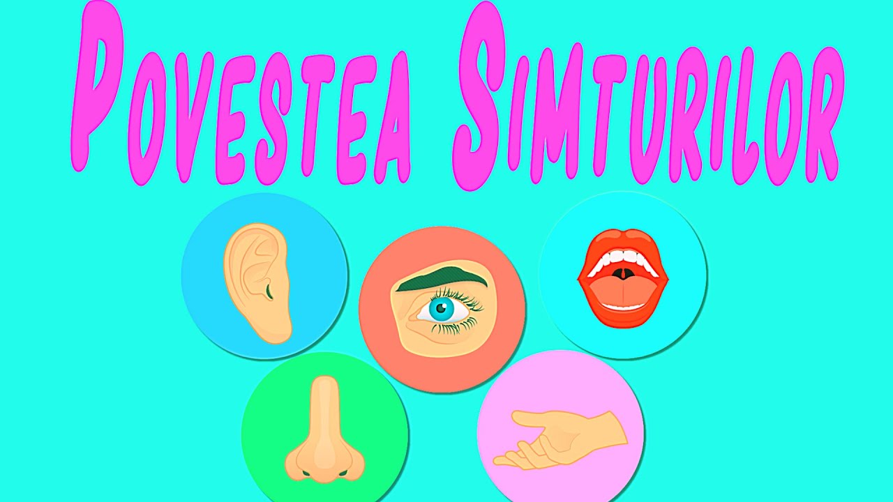 Watch Cele 5 Simturi Ale Omului Now SIMTURILE PENTRU COPII | CELE 5 SIMTURI ALE OMULUI | Desene animate cu simturile omenesti