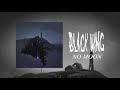 Black Wing Always Hurt