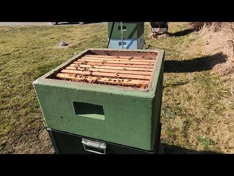 Vår-inspektion av en kupa våren 2022