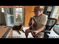 Like a Dog - Greg Brown cover feat. Milo the Dog (acoustic - live)