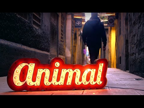 Animal - Només amb tu (Videoclip)